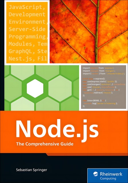 Node.js, Inc., Rheinwerk Publishing, Sebastian Springer