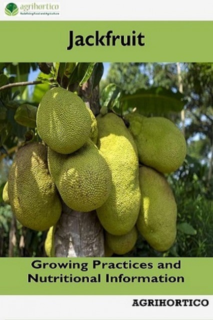 Jackfruit, Agrihortico CPL