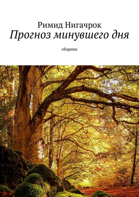 Прогноз минувшего дня, Римид Нигачрок