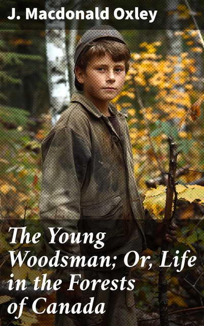 The Young Woodsman; Or, Life in the Forests of Canada, James Macdonald Oxley