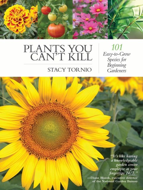 Plants You Can't Kill, Stacy Tornio