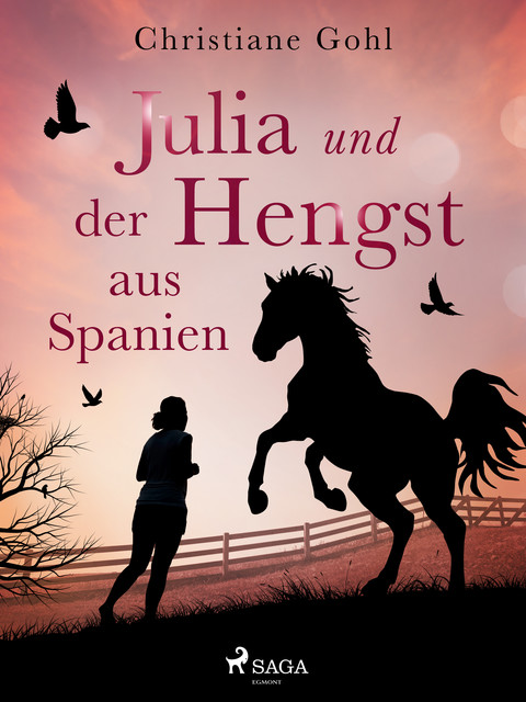 Julia und der Hengst aus Spanien, Christiane Gohl