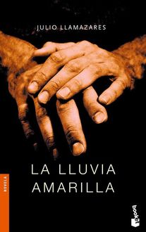 La Lluvia Amarilla, Julio Llamazares