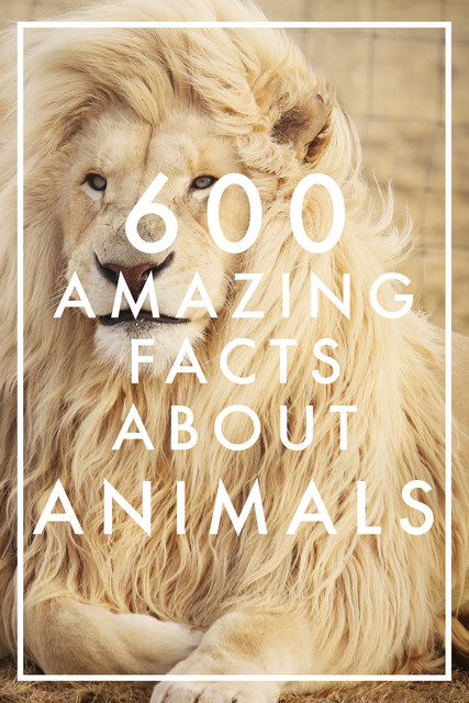 600 Amazing Facts About Animals, Nicotext Publishing