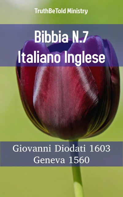 Bibbia N.7 Italiano Inglese, Joern Andre Halseth