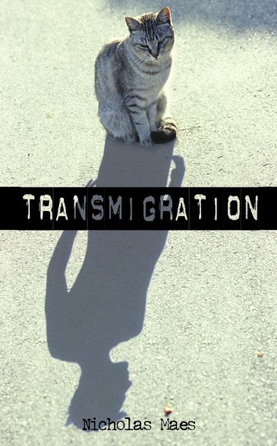 Transmigration, Nicholas Maes