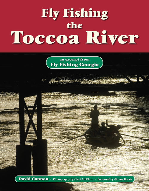 Fly Fishing the Toccoa River, David Cannon