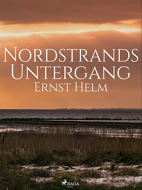 Nordstrands Untergang, Ernst Helm