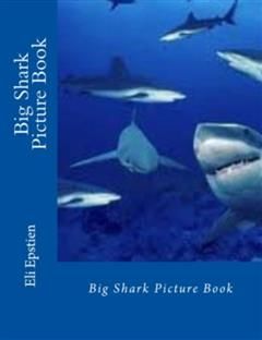 Big Shark Picture Book, Eli Epstien