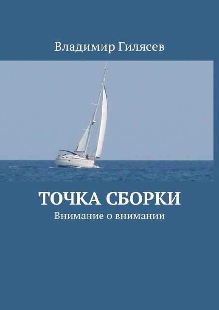 Точка сборки. Внимание о внимании, Владимир Гилясев