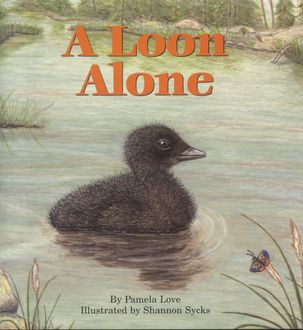 A Loon Alone, Pamela Love