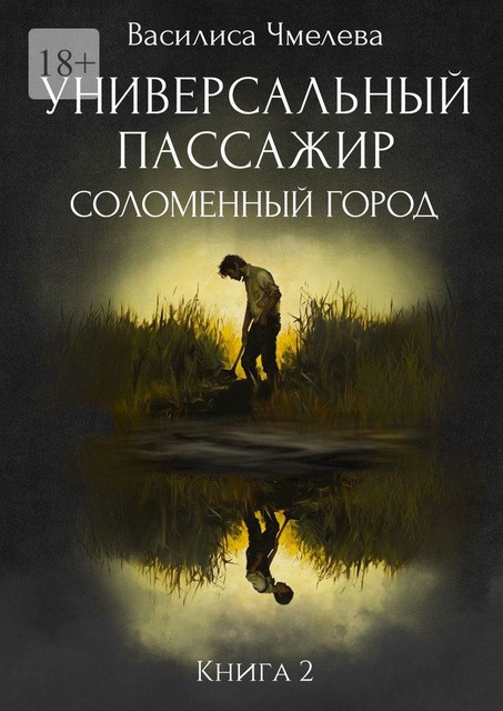 Универсальный пассажир. Книга 2. Соломенный город, Василиса Чмелева