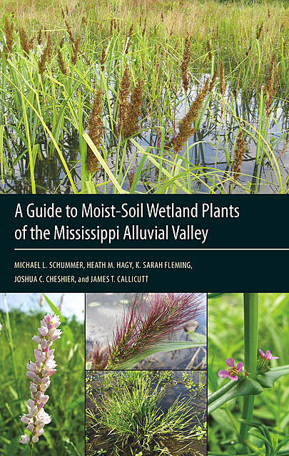 A Guide to Moist-Soil Wetland Plants of the Mississippi Alluvial Valley, Heath M. Hagy, James T. Callicutt, Joshua C. Cheshier, K. Sarah Fleming, Michael L. Schummer