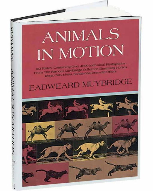 Animals in Motion, Eadweard Muybridge