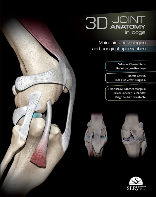 3D Joint anatomy in dogs, Rafael Latorre, Roberto Köstlin, Salvador Climent