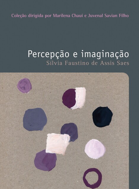Percepção e imaginação, Sílvia Faustino de Assis Saes
