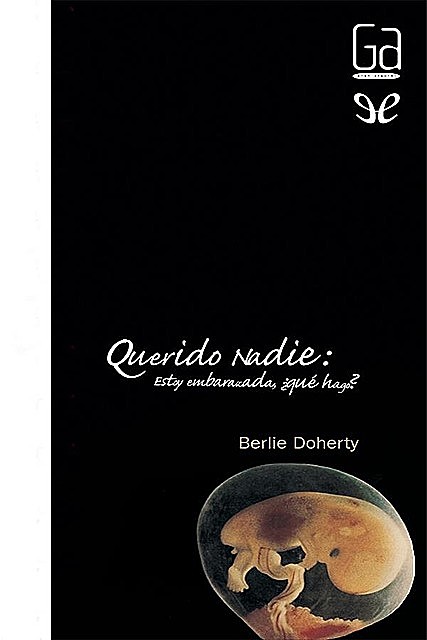 Querido Nadie (eBook-ePub), Berlie Doherty