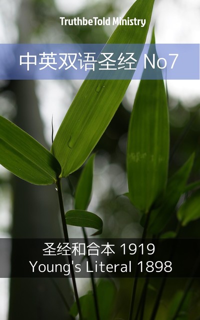 中英双语圣经 No7, Joern Andre Halseth