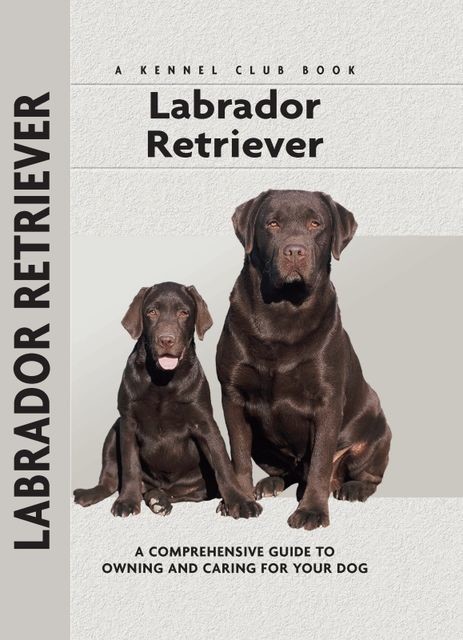 Labrador Retriever, Margaret A. Gilbert