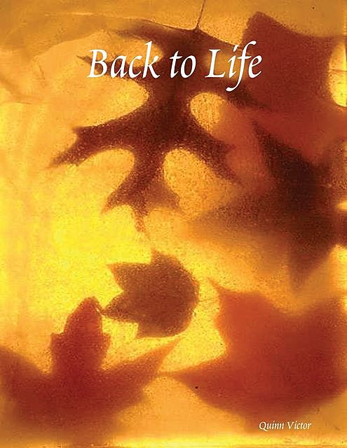 Back to Life, Victor Quinn