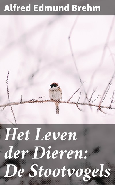 Het Leven der Dieren: De Stootvogels, Alfred Edmund Brehm