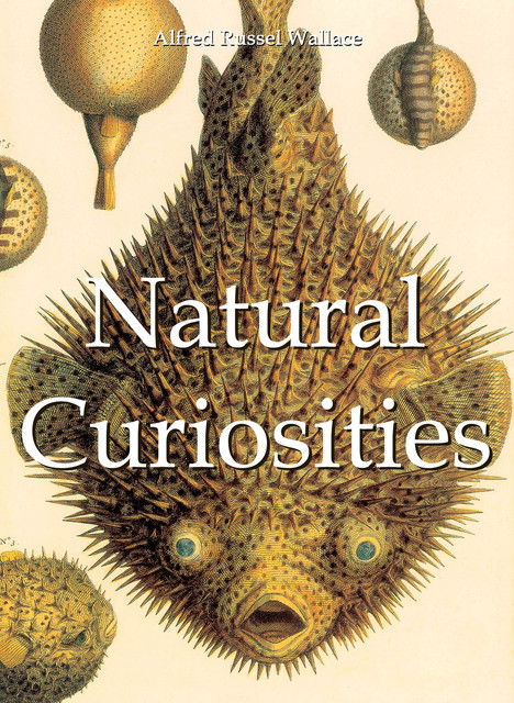 Natural Curiosities, Alfred Russel Wallace