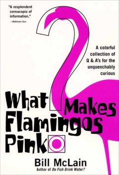 What Makes Flamingos Pink, Bill McLain