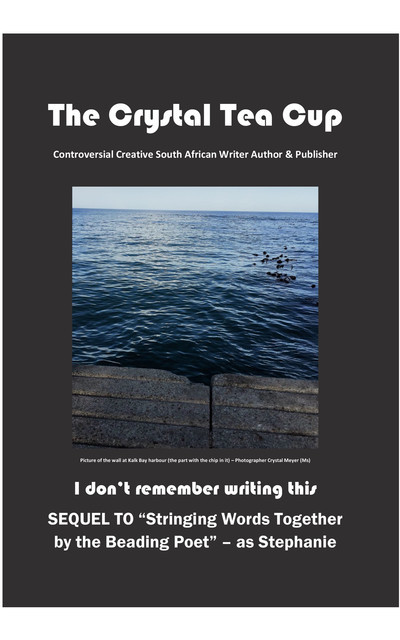 I don't remember writing this, The Crystal Tea Cup – Crystal Meyer