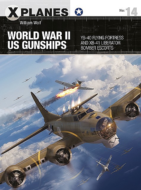 World War II US Gunships, William Wolf