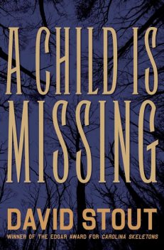 A Child Is Missing, David Stout