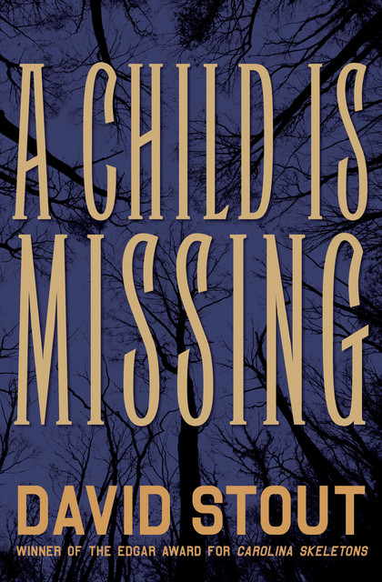 A Child Is Missing, David Stout