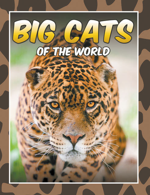Big Cats Of The World, Marshall Koontz