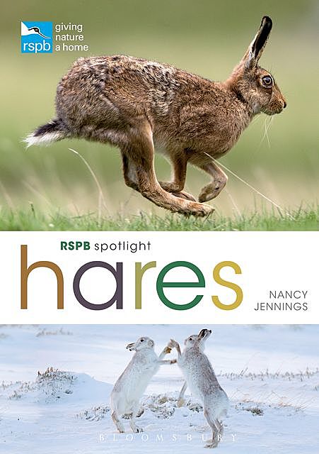 RSPB Spotlight Hares, Nancy Jennings