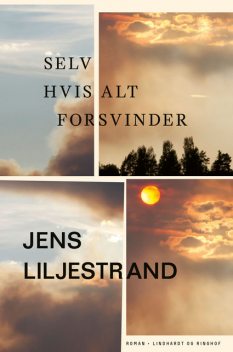 Selv hvis alt forsvinder, Jens Liljestrand