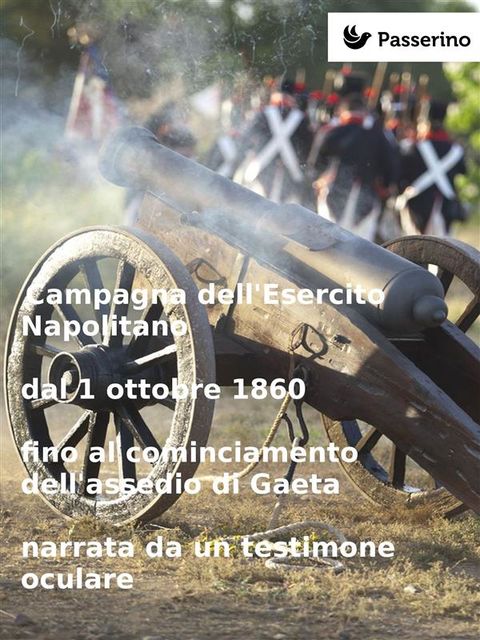 Campagna dell'Esercito Napolitano dal 1 ottobre 1860 fino al cominciamento dell'assedio di Gaeta narrata da un testimone oculare, Anónimo