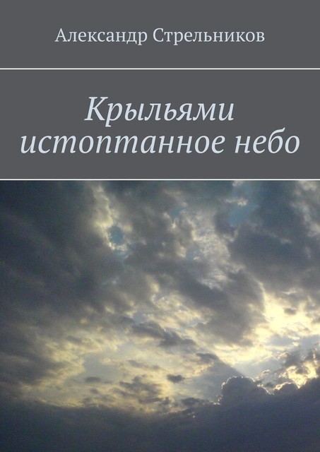 Крыльями истоптанное небо, Александр Стрельников