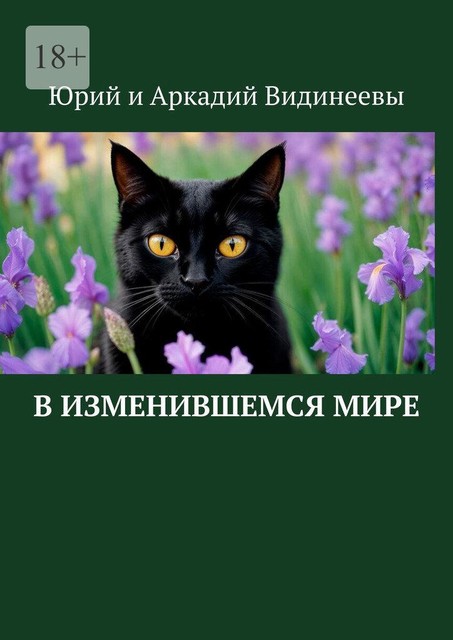 В изменившемся мире, Юрий Видинеев, Аркадий Видинеевы