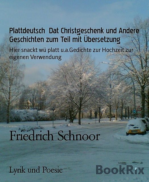 Plattdeutsch Dat Christgeschenk und Andere Geschichten zum Teil mit Übersetzung, Friedrich Schnoor