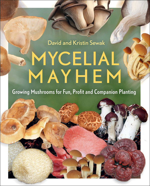 Mycelial Mayhem, David Sewak, Kristin Sewak