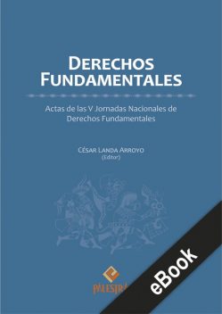 Derechos fundamentales, César Landa