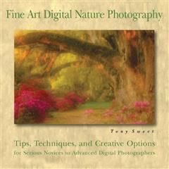Fine Art Digital Nature Photography, Tony Sweet