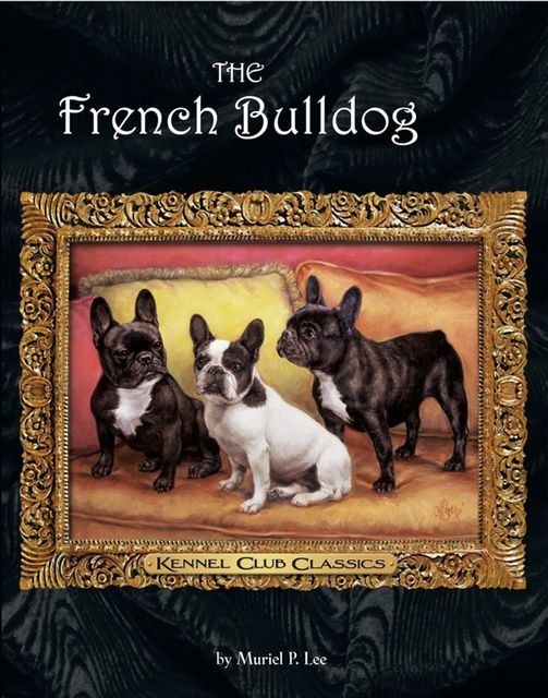 The French Bulldog, Muriel P. Lee