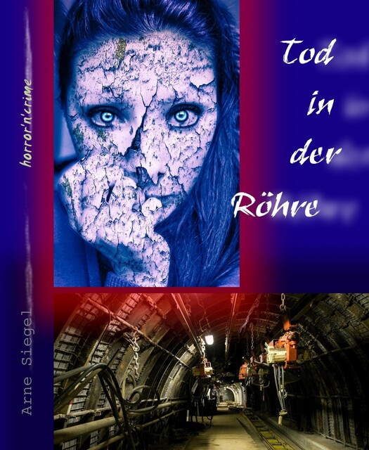 Tod in der Röhre, Arne Siegel