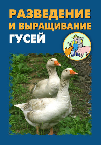 Разведение и выращивание гусей, Илья Мельников