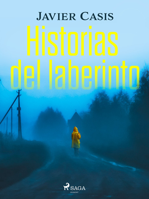 Historias del laberinto, Javier Casis