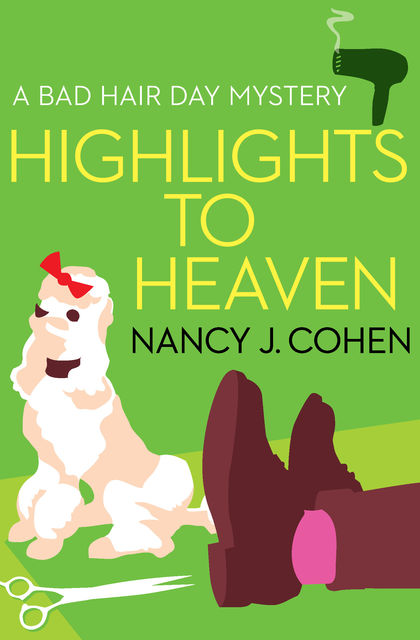 Highlights to Heaven, Nancy Cohen