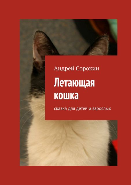Летающая кошка. Сказка для детей и взрослых, Андрей Сорокин