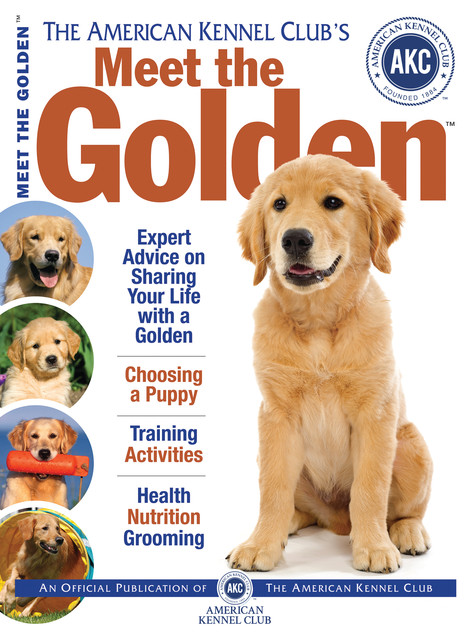 Meet the Golden, American Kennel Club