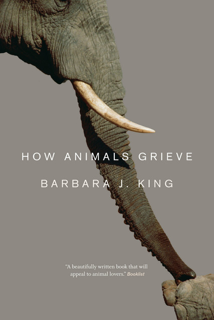 How Animals Grieve, Barbara J. King