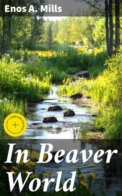 In Beaver World, Enos A. Mills